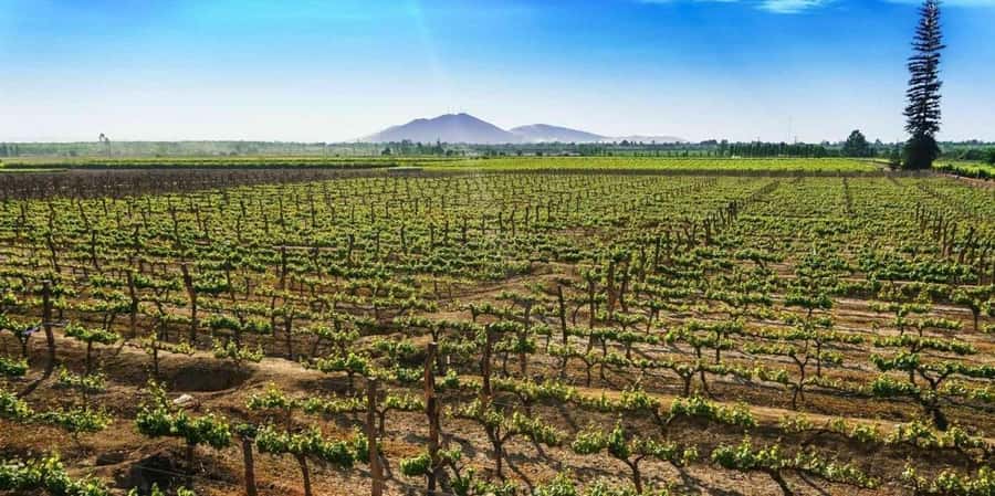 Berlin: 2-Hour Discovery Tour in a Volkswagen T2 Van - Checkpoint Charlie, Gendarmenmarkt, and the Topography of Terror