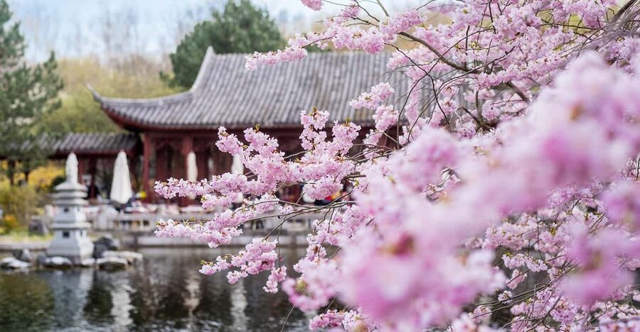 Berlin: Gärten der Welt Guided Tour - The Chinese garden and the art of planned calm