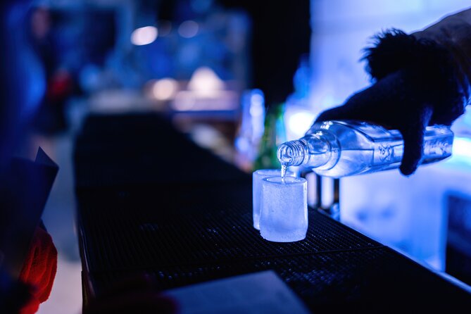 Berlin Icebar Experience Including 3 drinks - Making the three drink tokens count