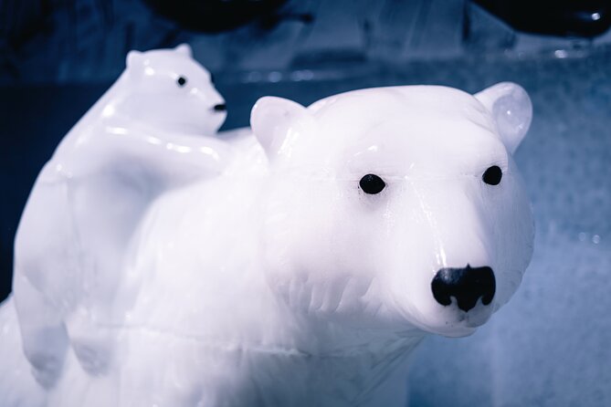 Berlin Icebar Experience Including 3 drinks - Who will enjoy it most