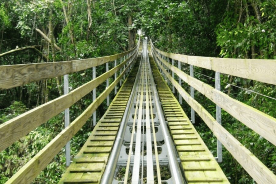 Berlin: Nature Bobsled Run Ticket - Opening information requires a careful check