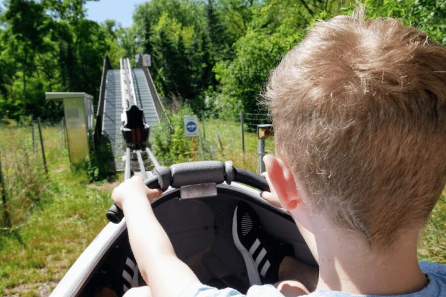 Berlin: Nature Bobsled Run Ticket - Who will enjoy this most