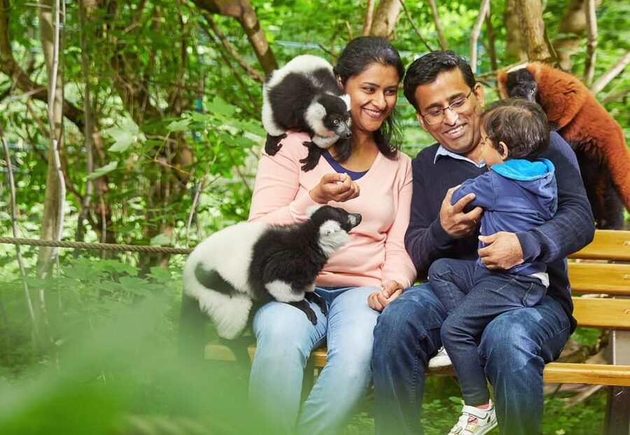 Berlin: Tickets for the Tierpark in East Berlin - Meet animals from the Himalayas to South East Asia