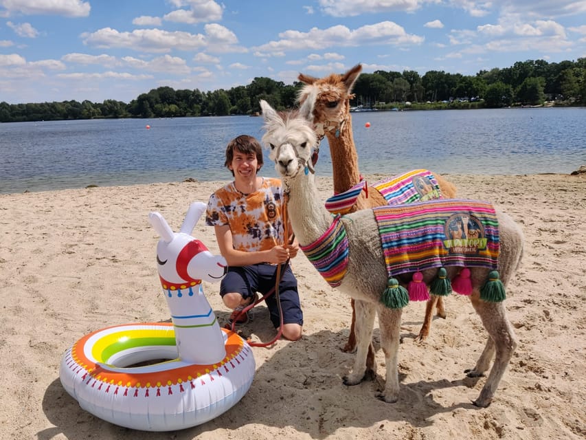Braunschweig: Alpaca Trekking Tour - A ten-minute photo stop with Pepe and the herd