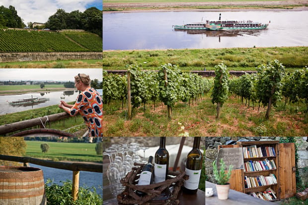 Dresden Bike Tour with Wine Tasting - Following the Elbe Valley toward the Elbschlösser