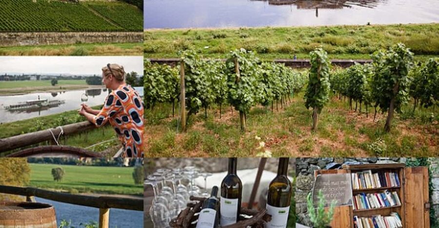 Dresden Bike Tour with Wine Tasting - What the $74 price gets you
