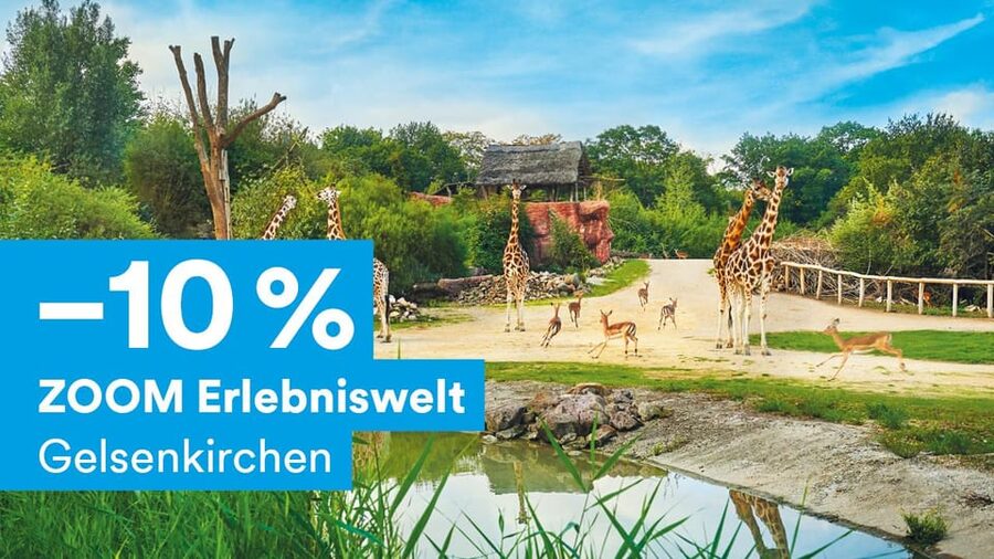 DüsseldorfCard Plus - City tours and guided activities