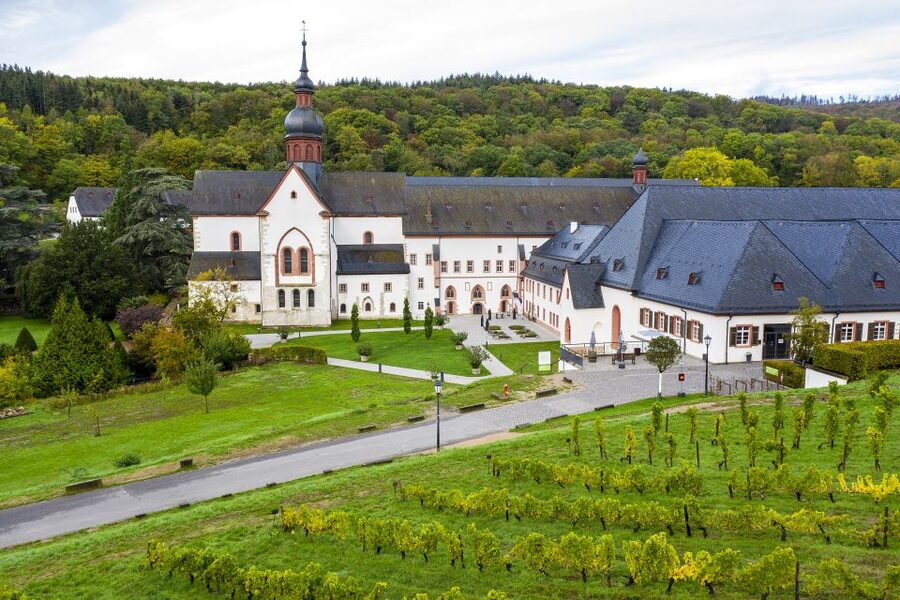 Eltville: Eberbach Monastery Entry Ticket - The Abbey Museum and its religious art