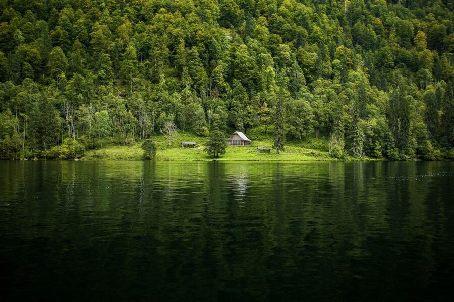 From Munich: Königsee Day Tour by Van - The guide makes a real difference