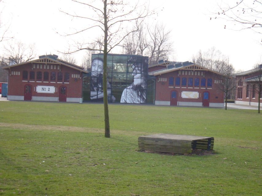 Hamburg Harbor: 3.5-Hour Guided Tour by Bike - Veddel and the Harbor’s Human Story