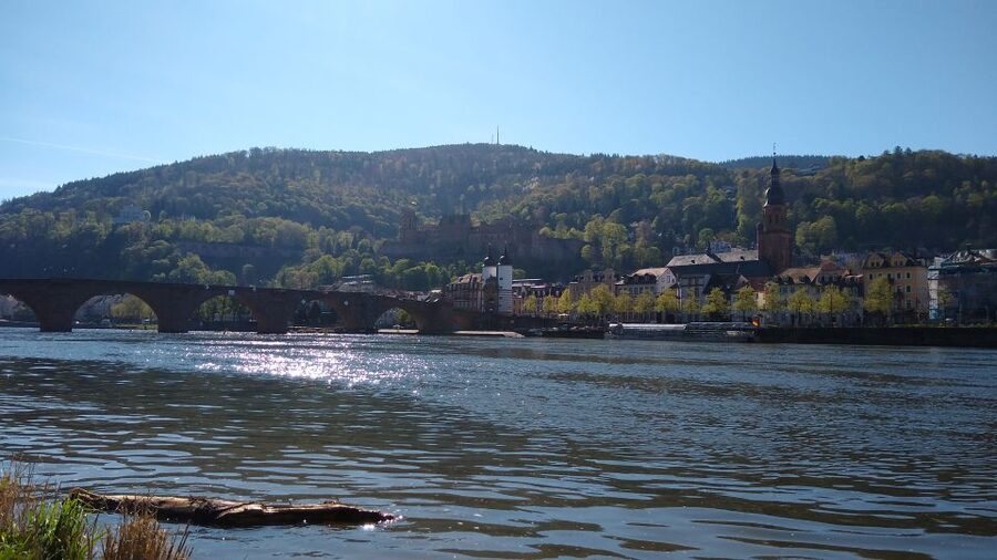 Heidelberg: Guided Bike Tour - Following the north bank of the Neckar
