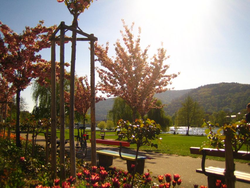 Heidelberg: Guided Bike Tour - Guides, language, and the feel of the ride