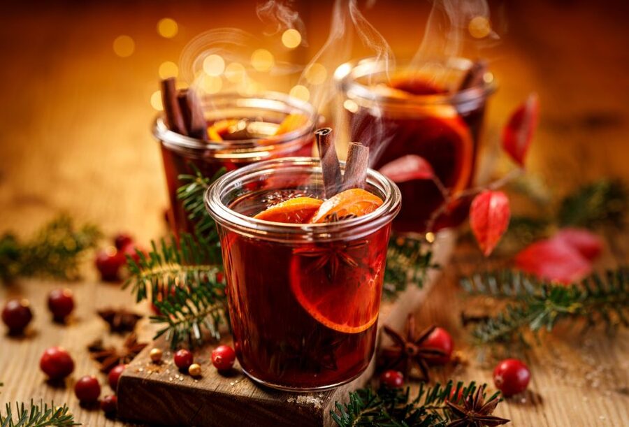 Heidelberg: Sightseeing Boat Tour with Mulled Wine - A Short Detour to Wieblingen Weir Bridge