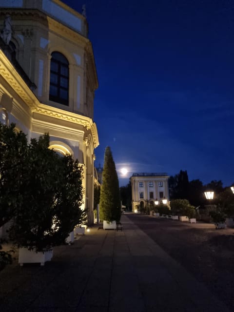 Kassel: Kassel's lost city by night - Stories about kings, electors, and prisoners