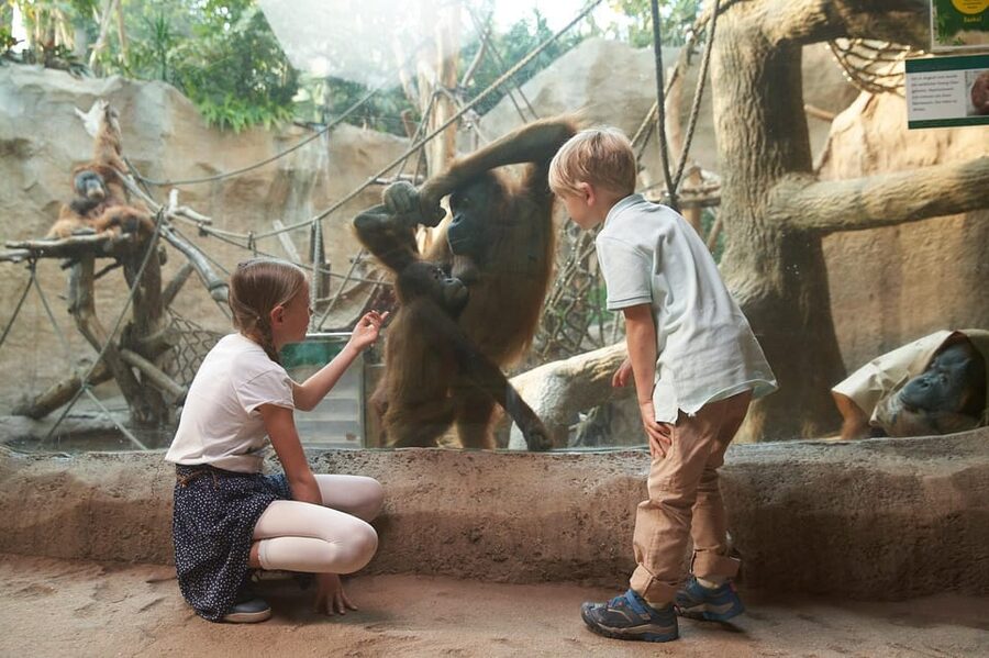Leipzig Zoo: Entry Ticket - What the $22 Ticket Is Worth