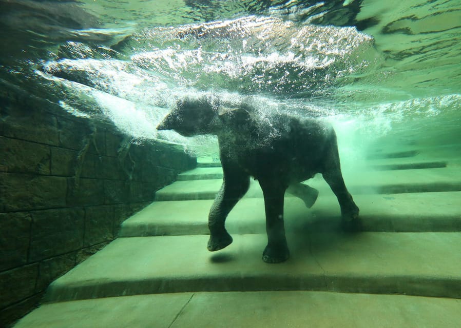 Leipzig Zoo: Entry Ticket - Who Will Get the Most From This Visit