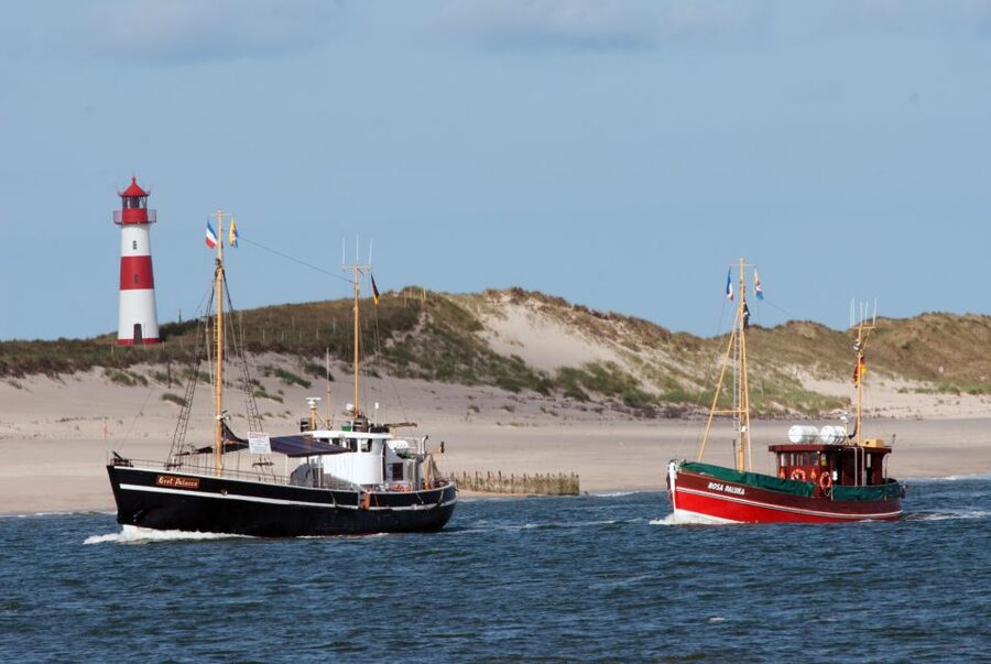 List/Sylt: Guided Seal-Watching Cruise on a Rustic Boat - Gret Palucca or Rosa Paluka