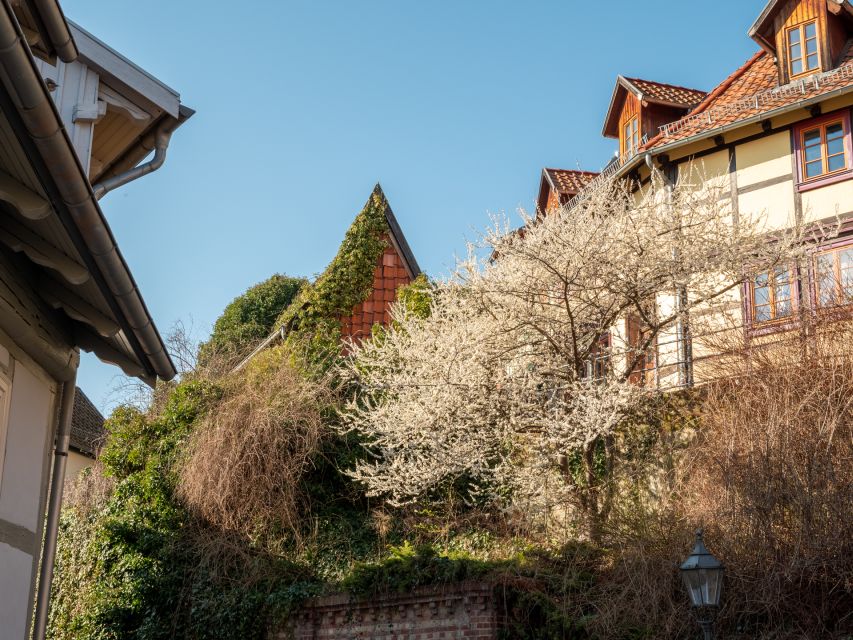 Quedlinburg: Guided City Highlights Walking Tour - Why Quedlinburg Works Best on Foot