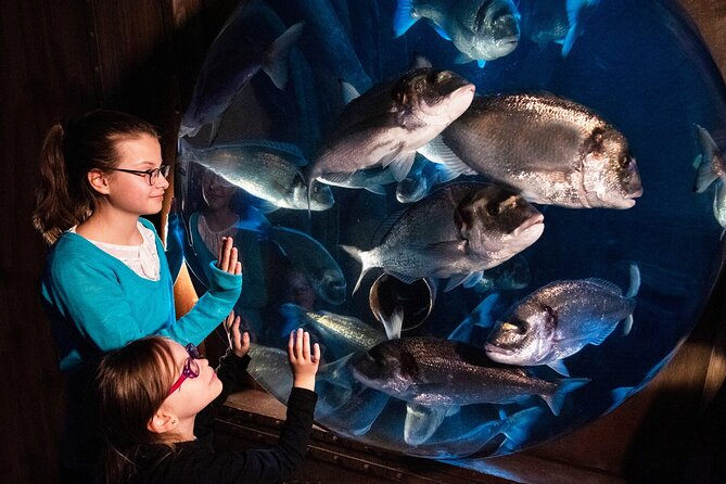 SEA LIFE Speyer Admission Ticket - Following the water from Germany to the Amazon