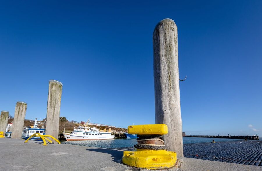 Sylt: Guided Island Tour by Bus with Sylt Highlights - Through Wenningstedt and Kampen