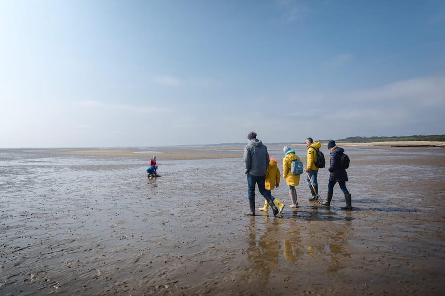 Sylt: Guided Mudflat Hike on the Island - Meeting Jan at Vogelkoje Between Kampen and List