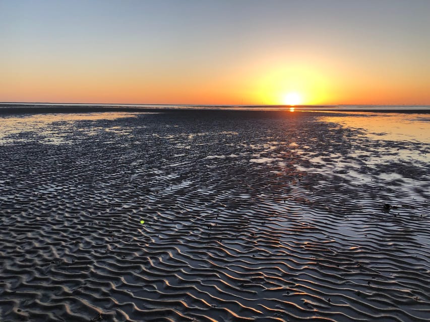 Sylt: Guided Mudflat Hike on the Island - Bare Feet in Warm Weather, Boots in the Cold
