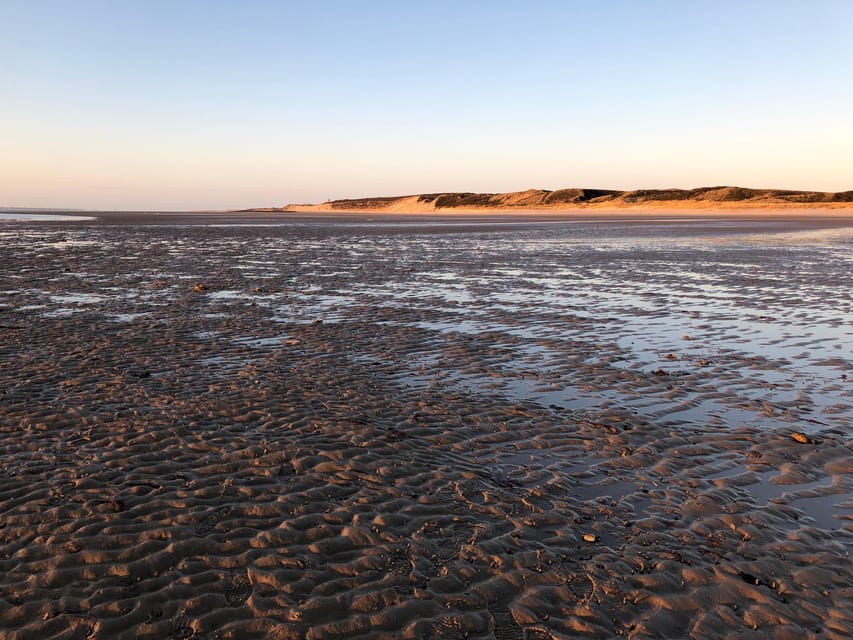 Sylt: Guided Mudflat Hike on the Island - Practical Details That Matter on the Day